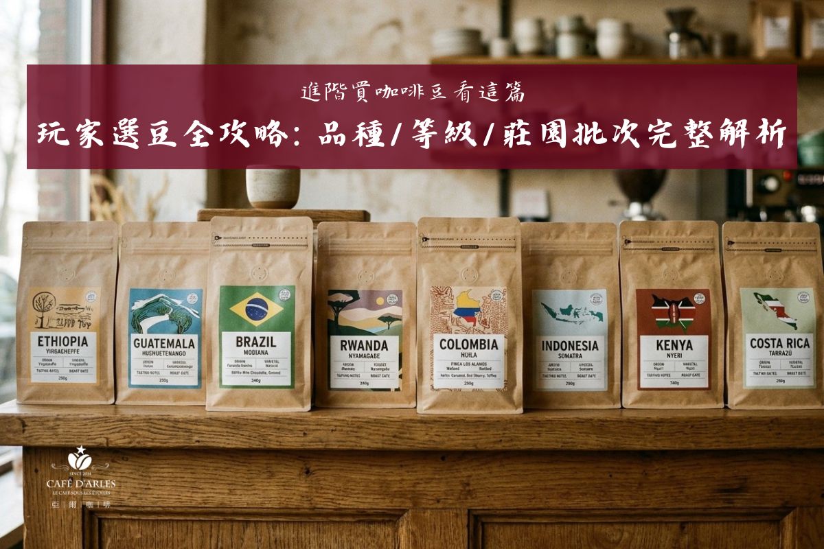 進階買咖啡豆看這篇：解析品種、等級與莊園批次，玩家必備選豆全攻略