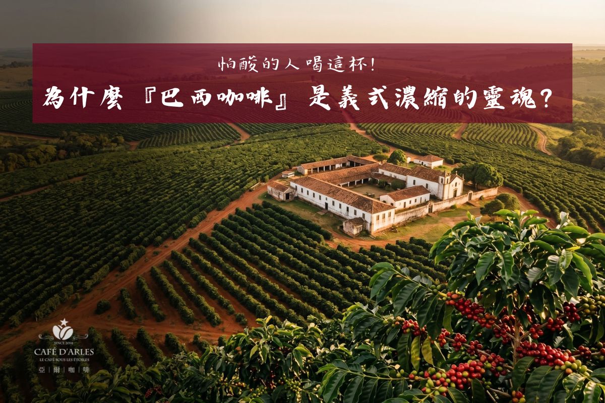 怕酸的人喝這杯！揭密『巴西咖啡』為什麼是義式濃縮的靈魂？