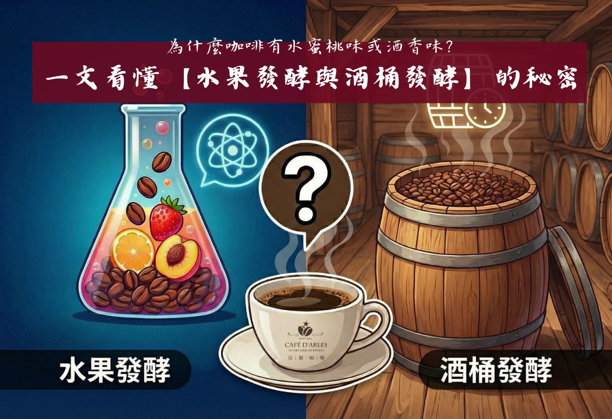 為什麼咖啡有水蜜桃味或酒香味？一文看懂「水果發酵」與「酒桶發酵」處理法的秘密