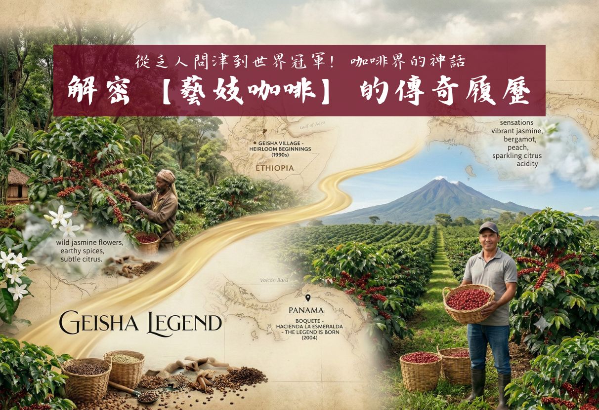 從乏人問津到世界冠軍！解密【藝妓咖啡豆】與【巴拿馬翡翠莊園】的傳奇履歷